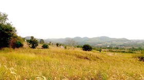 Phurapee Pakchong