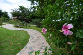 Rose Villa Resort
