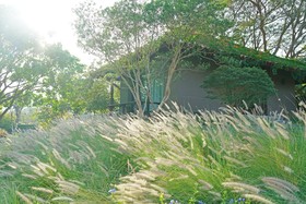 Sasi Villa Khaoyai