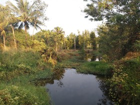 Thanawit Resort