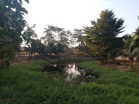 Thanawit Resort