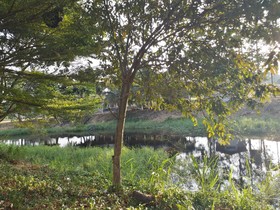 Thanawit Resort