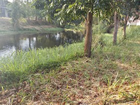Thanawit Resort