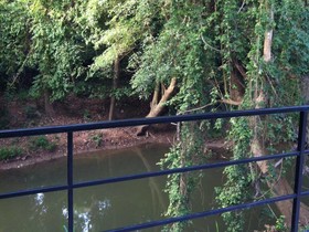 The Creek