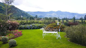 The Focus Khaoyai Resort