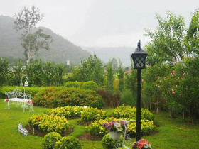 The Focus Khaoyai Resort