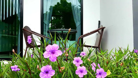 The Focus Khaoyai Resort