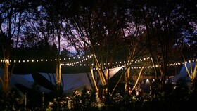 The Wild Khao Yai