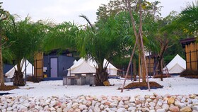 The Wild Khao Yai