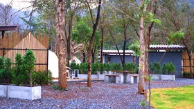 The Wild Khao Yai