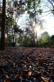 The Wild Khao Yai