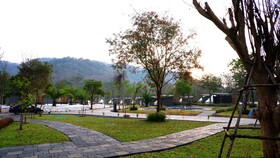 The Wild Khao Yai