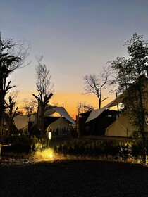 The Wild Khao Yai