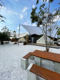The Wild Khao Yai