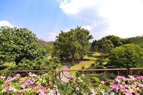 Uncle Jo Ranch