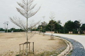 The White Knot Farm Stay
