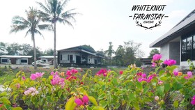 The White Knot Farm Stay