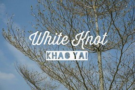 The White Knot Farm Stay