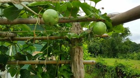 Baan Phu Pun Tawan