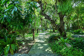 Saksaitarn Resort by OYO Rooms