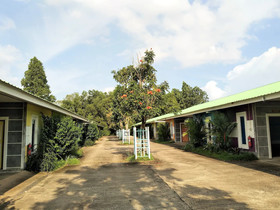 The Colour Hotel