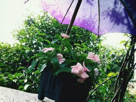 Baan Nurn Khao