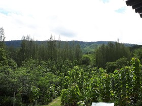 Baansongkhata