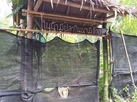 Baansongkhata