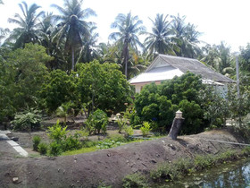 Baan Suan Nuchliang Homestay