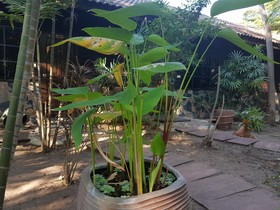 Guesthouse Ratchaburi