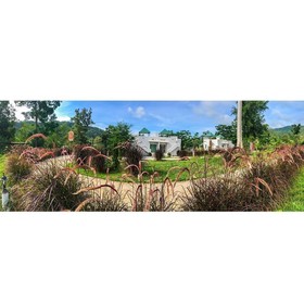 Khun Khao Tamnan Prai Resort