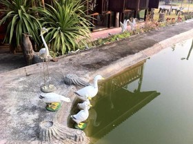 Longmadoo Resort