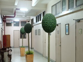 Numsin Hotel