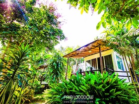 Prib1000dow Home And Camping