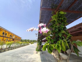 Pueng Luang Resort