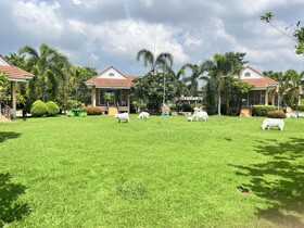 Reuan Chom Dao Resort