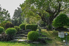 Suanpung Bonsai Village