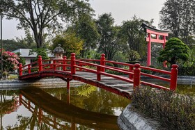 Suanpung Bonsai Village