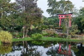 Suanpung Bonsai Village