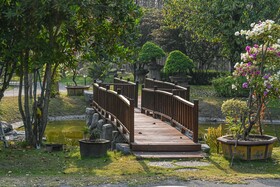 Suanpung Bonsai Village