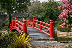 Suanpung Bonsai Village