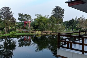Suanpung Bonsai Village
