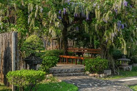 Suanpung Bonsai Village