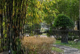 Suanpung Bonsai Village