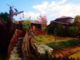 Timberland & Fruit Resort