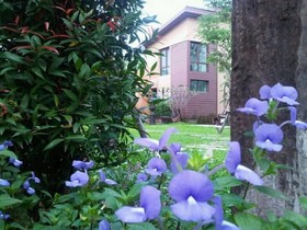 Varee Manust Resort