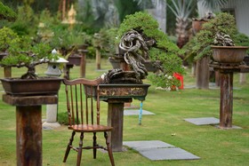 18 Bonsai Garden Resort