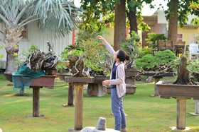 18 Bonsai Garden Resort