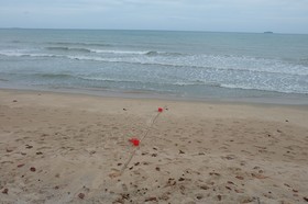 Aksorn Rayong, The Vitality Collection