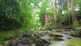 Brookside Valley Resort